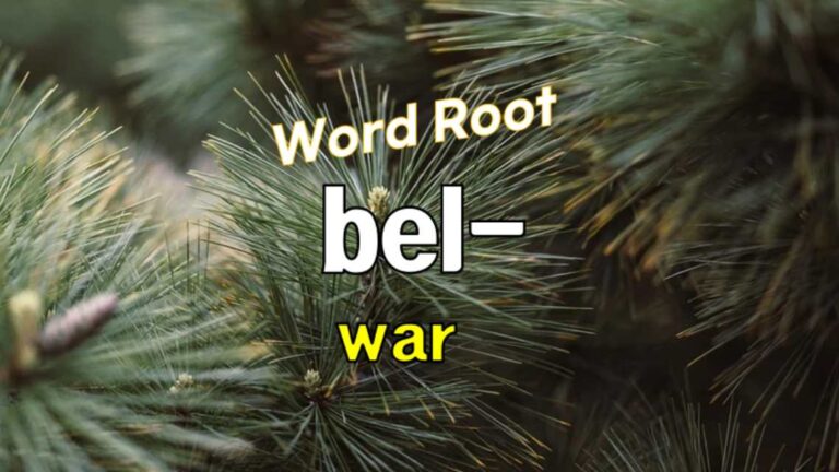 What Does The Root Bel Mean_